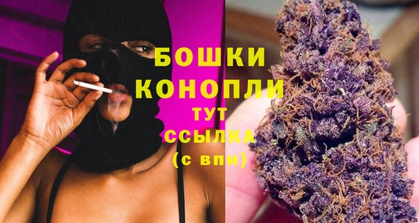 ECSTASY Богородск