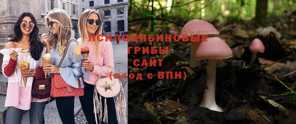 дурь Верея