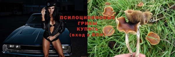 прущая мука Богданович